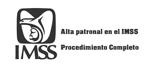 Alta Patronal IMSS